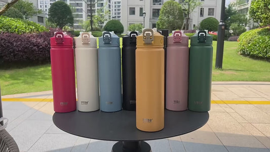 TYESO Stainless Steel Thermal Bottle 600–750ml with Straw | Hot & Cold Insulated